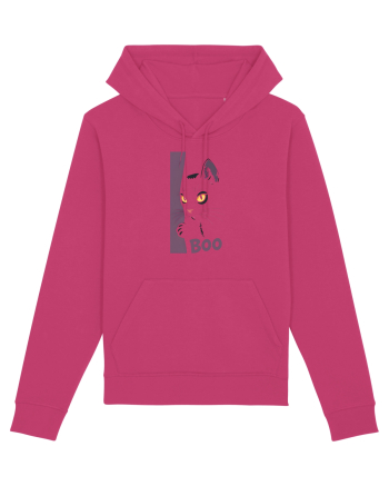 PISICA - BOO 2 Raspberry