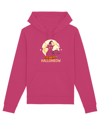 PISICA - HALLOMEOW Raspberry