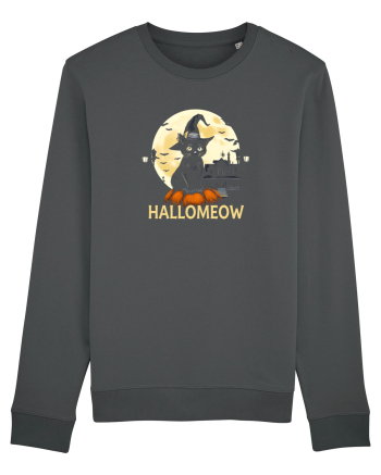PISICA - HALLOMEOW Anthracite