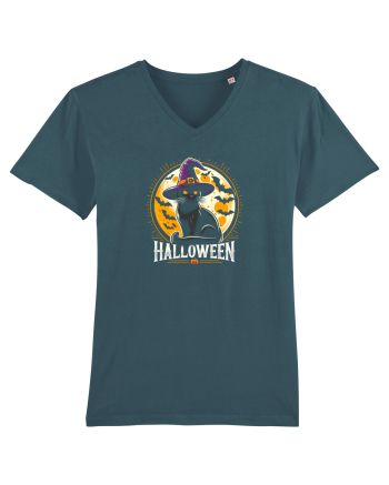 PISICA - HALLOWEEN 2 Stargazer