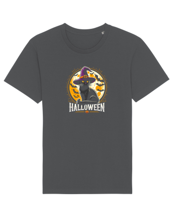 PISICA - HALLOWEEN 2 Anthracite