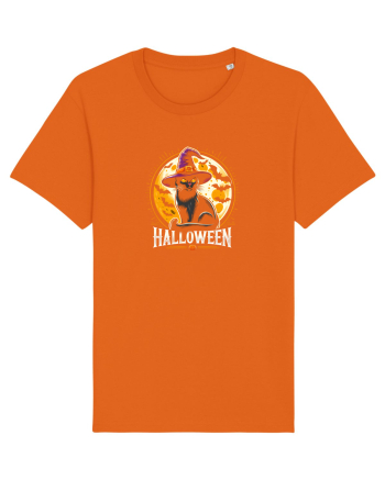 PISICA - HALLOWEEN 2 Bright Orange