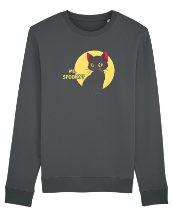PISICA - ME, SPOOKY? Anthracite
