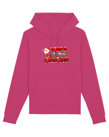 Echipa Craciun  Raspberry