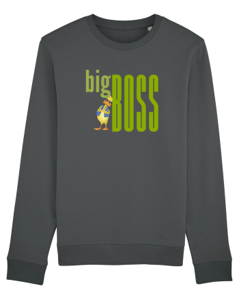 Big boss Anthracite