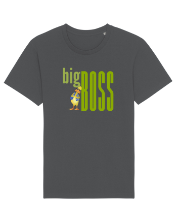 Big boss Anthracite