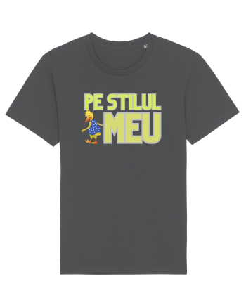 Pe stilul meu Anthracite
