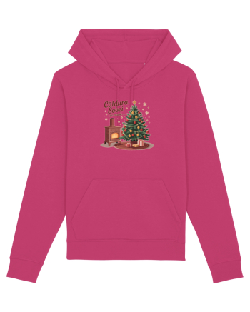 CALDURA SOBEI DE ACASA - CRACIUN - NOSTALGIA COPILARIEI Raspberry