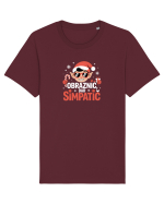 OBRAZNIC, DAR SIMPATIC Tricou mânecă scurtă Unisex Rocker