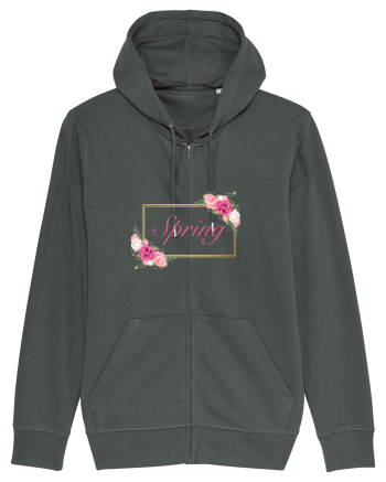 Spring  1  Anthracite