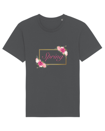 Spring  1  Anthracite