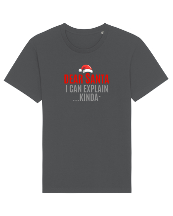 DEAR SANTA, I CAN EXPLAIN.... KINDA` Anthracite