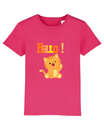 HELLO cu pisică  Raspberry