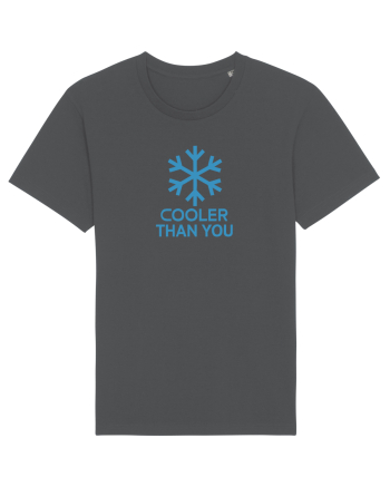 COOLER THAN YOU - Fulg zapada Anthracite