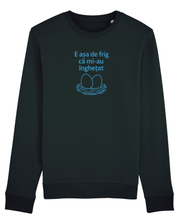 E ASA DE FRIG CA MI_AU INGHETAT.... ALEA (ouale) Black
