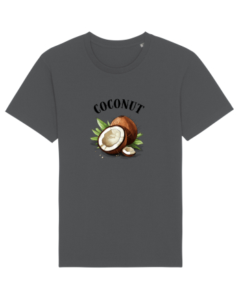 Coconut  1  Anthracite