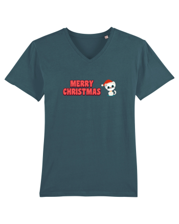 Merry Christmas  Stargazer