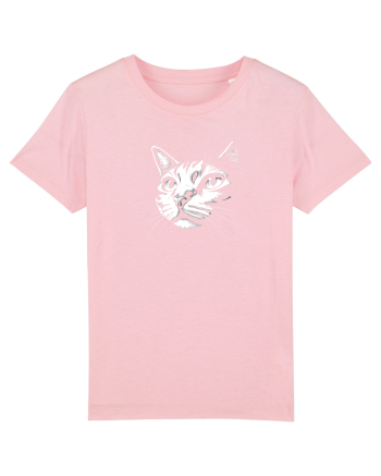 PISICA EUROPEANA VARGATA DUNGATA Cotton Pink
