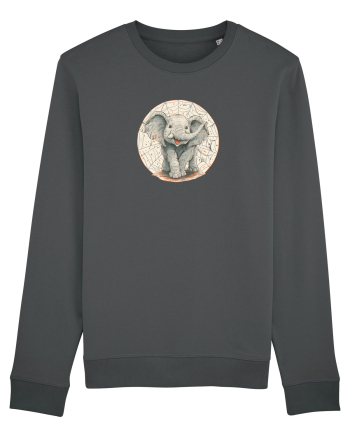 ELEFANT DRAGALAS SIMPATIC 2 Anthracite