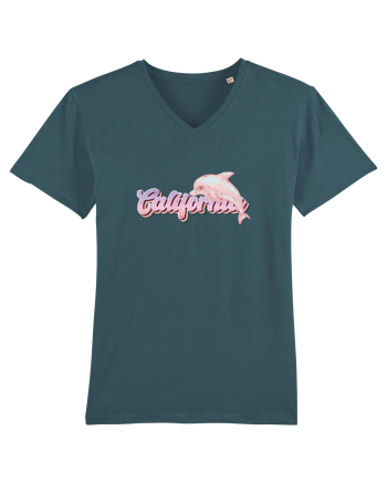 California  Stargazer