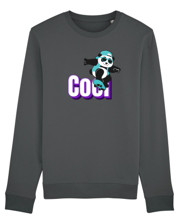 Cool Anthracite