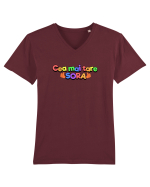 Cea mai tare sora Tricou mânecă scurtă guler V Bărbat Presenter