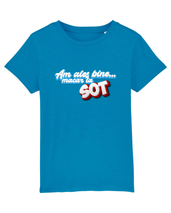 Am ales bine ...macar la sot Azur