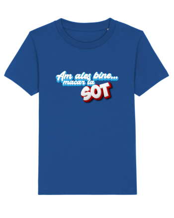 Am ales bine ...macar la sot Majorelle Blue