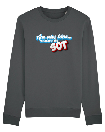 Am ales bine ...macar la sot Anthracite
