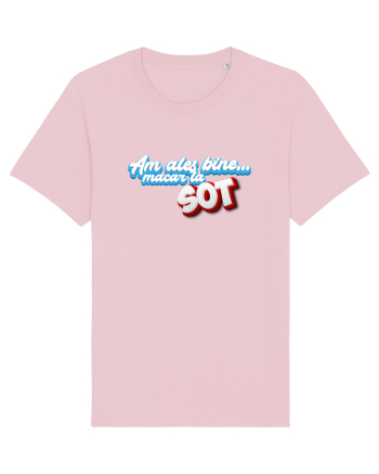Am ales bine ...macar la sot Cotton Pink