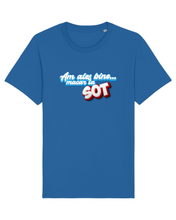 Am ales bine ...macar la sot Royal Blue