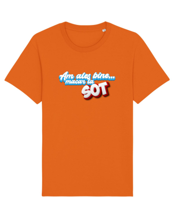 Am ales bine ...macar la sot Bright Orange