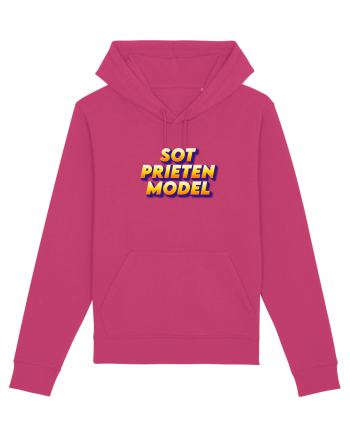 Soț prieten model  Raspberry