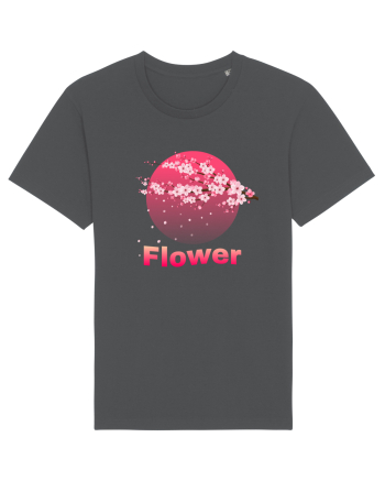 Flower  1 Anthracite
