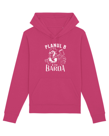 Planul B e cu BARDA - Școala veche Raspberry
