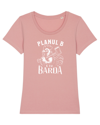 Planul B e cu BARDA - Școala veche Canyon Pink