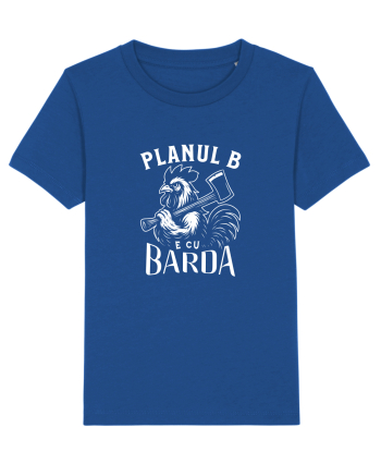 Planul B e cu BARDA - Școala veche Majorelle Blue