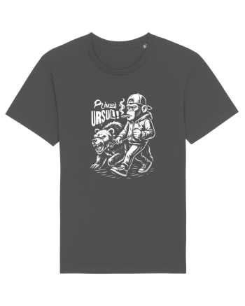 Plimbă ursul! - Atitudine urbană Anthracite