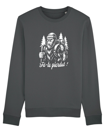 Fă-te pierdut! în Natură Anthracite