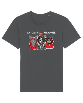La casa de Miaunel Anthracite