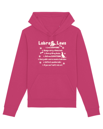 Labrador Laws Raspberry