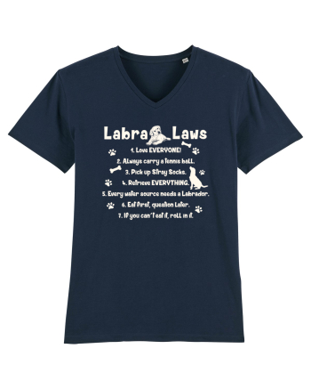 Labrador Laws French Navy