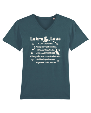 Labrador Laws Stargazer