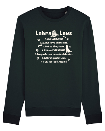 Labrador Laws Black