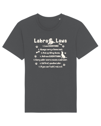 Labrador Laws Anthracite