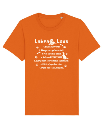 Labrador Laws Bright Orange