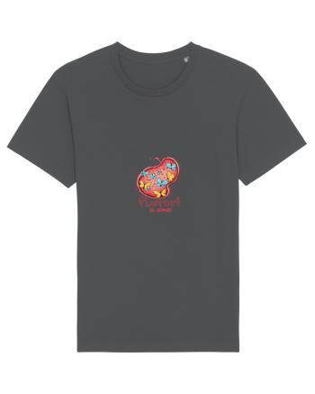 FLUTURI IN STOMAC - INDRAGOSTITI - VALENTINE`S - DRAGOBETE Anthracite