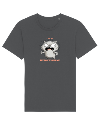 I LOVE YOU BUT DON`T TOUCH ME  - VALENTINE`S - DRAGOBETE  2 Anthracite