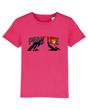 Peak life Raspberry