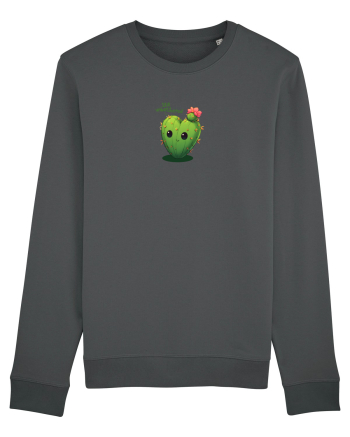STILL UNBOTHERED - CACTUS DRAGALAS - INIMA NECUCERITA INCA Anthracite